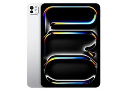 iPad Pro 11 inch (2024) hoes